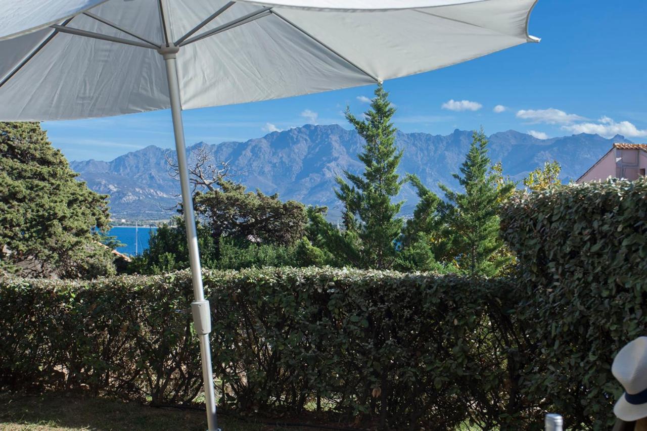 Mare Appart Avec Jardin Et Bbq Vue Mer Et Montagne Plage Et Port A 2 Pas Calvi  Exterior foto
